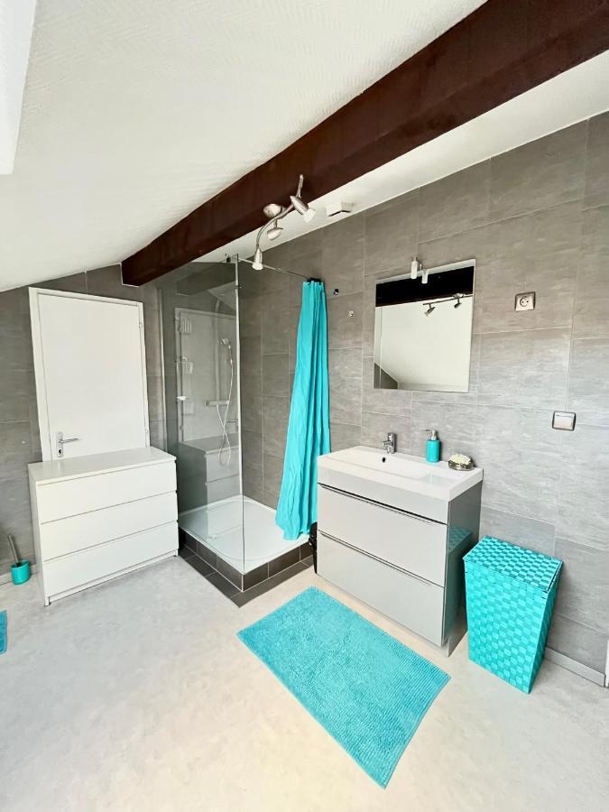 Pin'S - Magnifique Appartement Sarrebourg Exterior foto