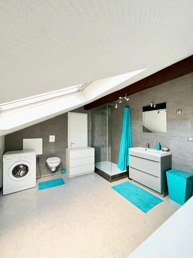 Pin'S - Magnifique Appartement Sarrebourg Exterior foto