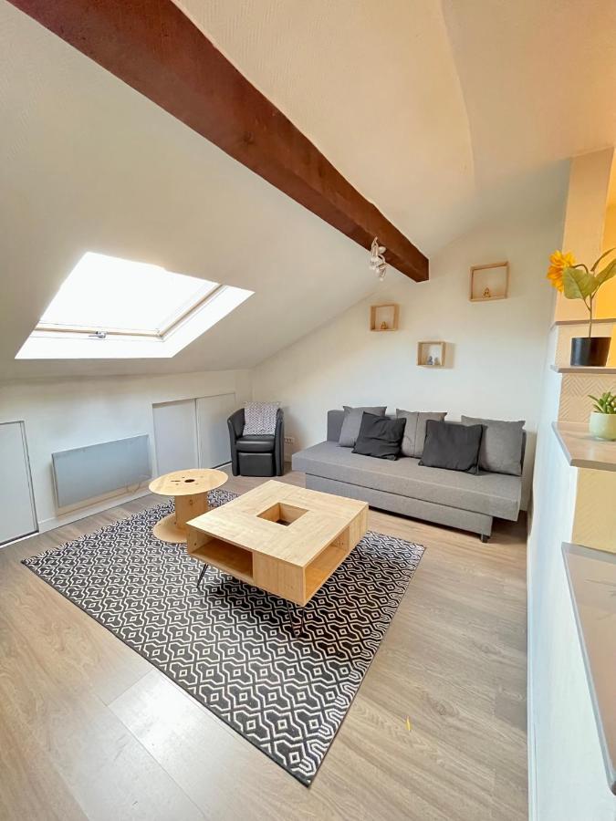 Pin'S - Magnifique Appartement Sarrebourg Exterior foto