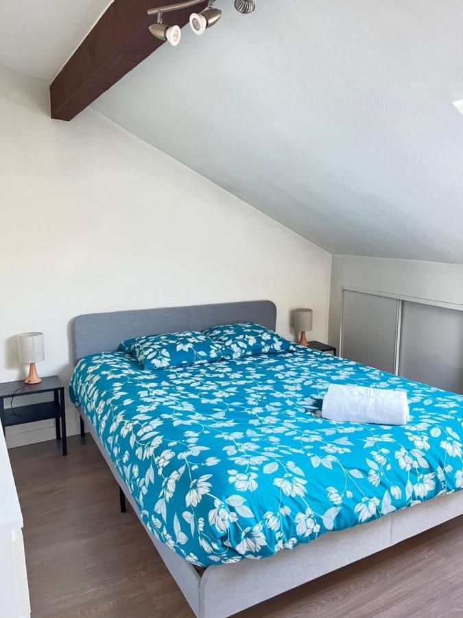 Pin'S - Magnifique Appartement Sarrebourg Exterior foto