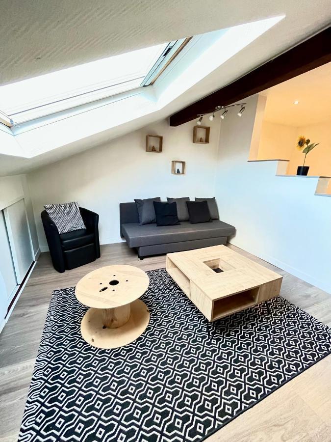 Pin'S - Magnifique Appartement Sarrebourg Exterior foto